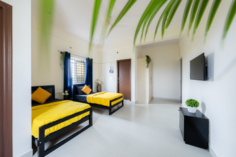 HelloWorld 27thMain srp image