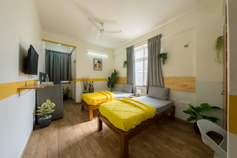 HelloWorld 1stMain srp image